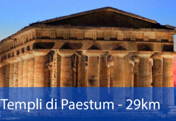 templi templi